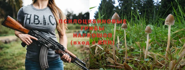 дурь Пролетарск