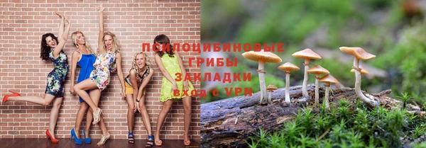 мдпв Абдулино